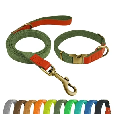 Imagen de Qianruida Collar y Correa Perro Conjunto de para Perros PequeñOs Medianos Grandes Verde Militar,M