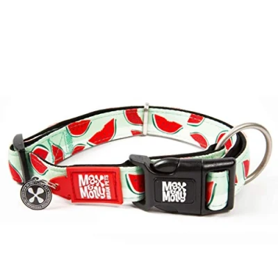 Imagen de MAX &amp; Molly Collar Deportivo de Neopreno Acolchado Ultra cómodo con Etiqueta identificación Inteligente, sandía, XS