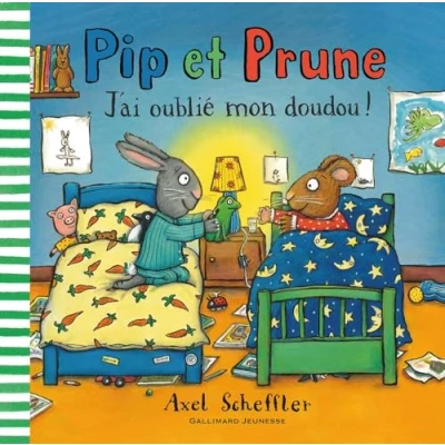 Imagen de Pip et prune. J&#039;ai oublié mon doudou !