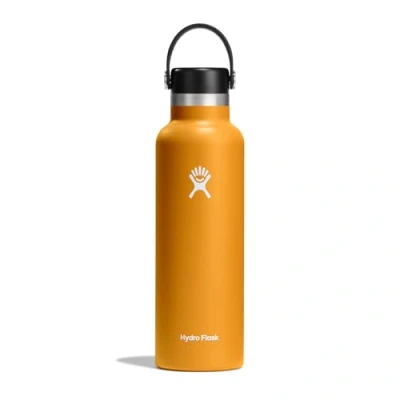 Imagen de Hydro Flask Bouteille d&#039;eau 621 ml 21 oz en acier inoxydable à isolation sous vide avec bouchon paille Goulot standard Fossil, 621ml (21oz)