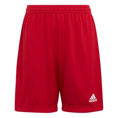 Imagen de adidas Entrada 22 Shorts Bermudas, Team Power Red 2, 176 Unisex niños