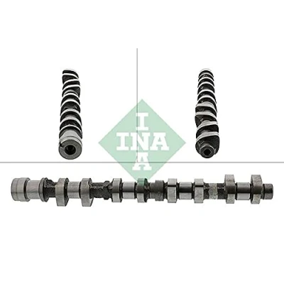 Imagen de INA 428 0152 10 Árbol de Levas AUDI: A4 B7 Berlina, Avant