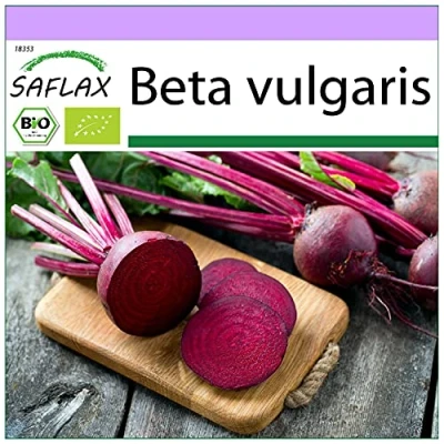 Imagen de SAFLAX Ecológico Remolacha Globo de Detroit 100 semillas Beta vulgaris