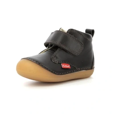 Imagen de Patucos para bebés Kickers Sabio