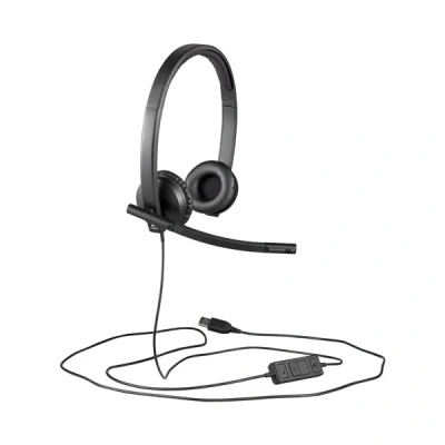 Imagen de LOGITECH Auriculares Ordenador Personal Usb Stereo Headset H570E Cuero Informática