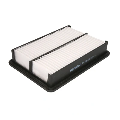 Imagen de FILTRON AP 108/10 Filtro de aire 52 190 269 Cartucho filtrante HYUNDAI: H 1 / Starex MPV, Travel, Cargo