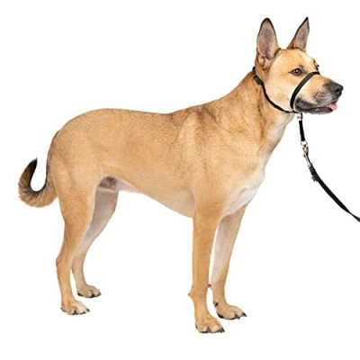 Imagen de PetSafe Easy Walk Bozal Para Perros, Collar De Cabeza Antitirones Ajustable, Acolchado, Con Correa Paseo Incluida, Negro, M