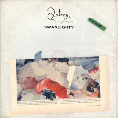 Imagen de Swanlights