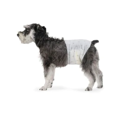 Imagen de Amazon Basics Pañales Desechables para Perros Macho, M, Paquete de 50, Color Blanco