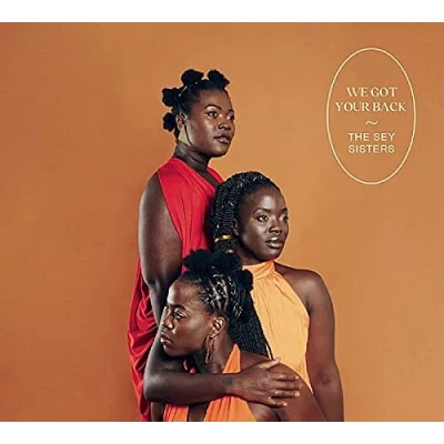 Imagen de We Got Your Back Vinilo