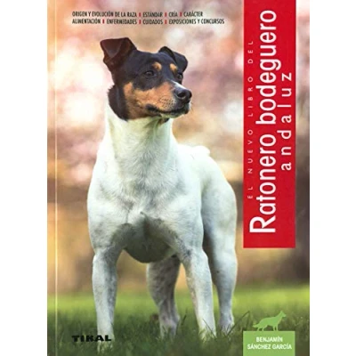 Imagen de ratonero Bodeguero Andaluz