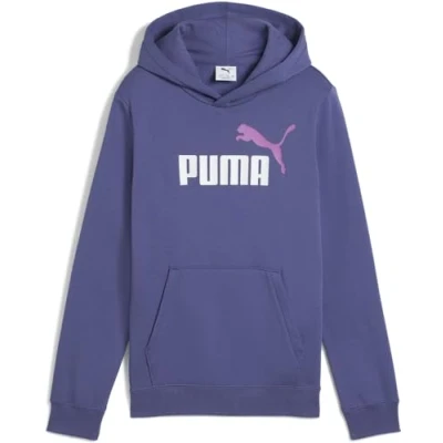 Imagen de PUMA ESS 2 Color No. 1 Logo Hoodie FL B, Sudaderas con Capucha Niños, Blue Crystal,