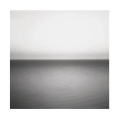 Imagen de No Line On The Horizon (10th Anniversary Remaster) [Vinilo]