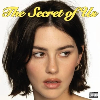 Imagen de The Secret Of Us [Vinilo]