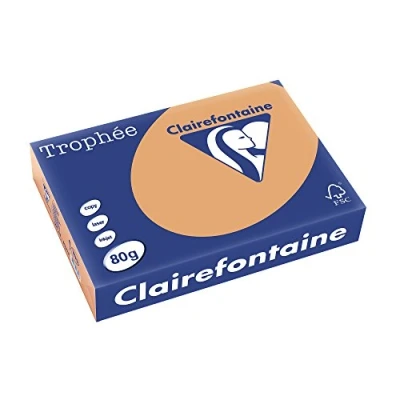 Imagen de Clairefontaine Resma de papel, 80 gr/m², 500 hojas, Caramelo, A4 (21 x 29.7 cm)