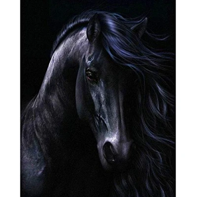 Imagen de Yingxin34 Puzzle 2000 Piezas,Rompecabezas Caballo Negro,Puzzle Creativo,Puzzle Arcoiris,Puzzle Adultos 39.17x27.75 Pulgadas (99.5 x 70.5cm)