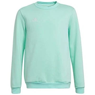 Imagen de adidas Unisex niños Entrada 22 Sweat Top, Clear Mint, 7 8 Years