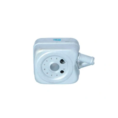 Imagen de NRF EASY FIT 31304 Radiador de Aceite con junta anular VOLKSWAGEN: Golf 2, 4, 5, SEAT: Leon II Hatchback, I Ibiza 3 norauto,