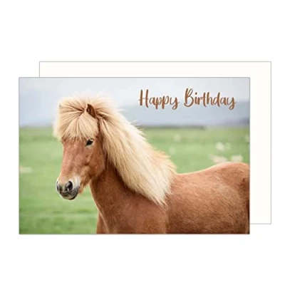 Imagen de Edition Seidel G3157 SW023 tarjeta de felicitación cumpleaños con sobre, felicitación, para hombre y mujer