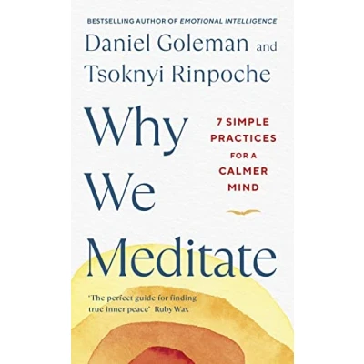 Imagen de Why We Meditate : 7 Simple Practices For A Calmer Mind