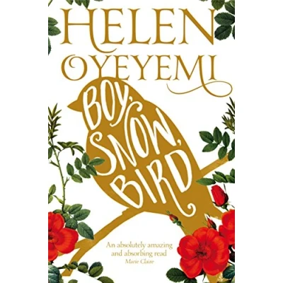 Imagen de Boy Snow Bird