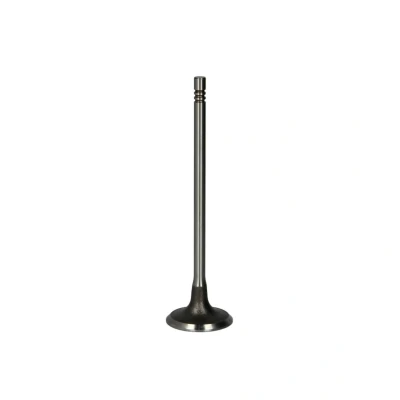 Imagen de FRECCIA R6663/S Válvula de Admisión 28,8 MINI: Cabrio, Hatchback, PEUGEOT: 3008 II SUV, 308 208 I BMW: 3 Berlina norauto,