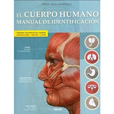 Imagen de El Cuerpo Humano (manual De Identificacion) Español latin ingles