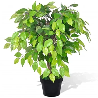 Imagen de vidaXL Planta enana Artificial de ficus en Maceta, 60 cm