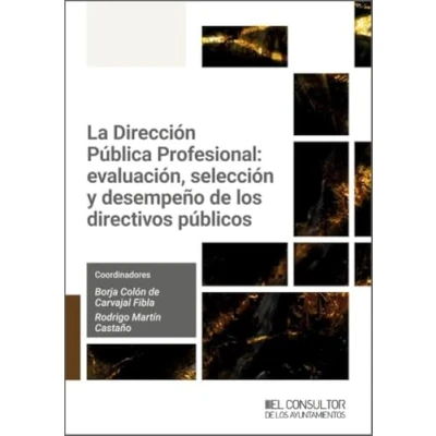 Imagen de La Dirección Pública Profesional: evaluación, selección y desempeño de los directivos públicos