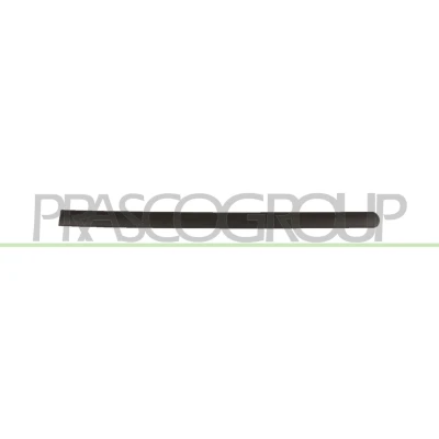 Imagen de Listón embellecedor/protector, puerta PRASCO VG9041454