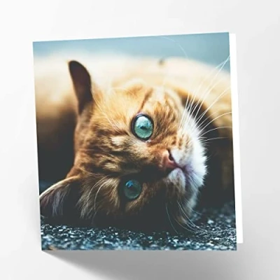 Imagen de Maturi Ginger Cat Tarjeta de felicitación cumpleaños (15,5 x 15,5 cm), diseño gato