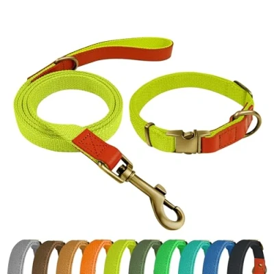 Imagen de Qianruida Collar y Correa Perro Conjunto de para Perros PequeñOs Medianos Grandes Amarillo Fluorescente,M
