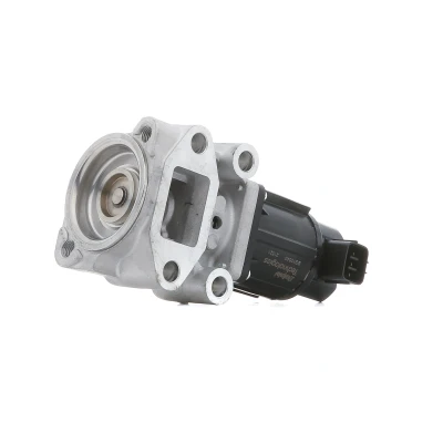 Imagen de Válvula EGR DELPHI EG10543 12B1
