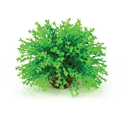 Imagen de biOrb Bola de flores color verde