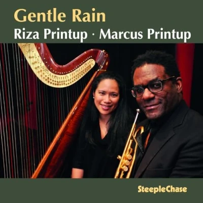 Imagen de Gently Rain