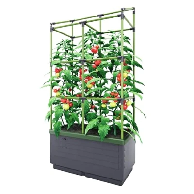 Imagen de Bio Green City Jungle, Gris, Verde, JGL T