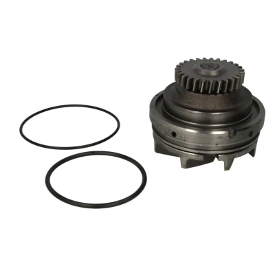 Imagen de THERMOTEC WP RV115 Bomba de agua con junta mecánico