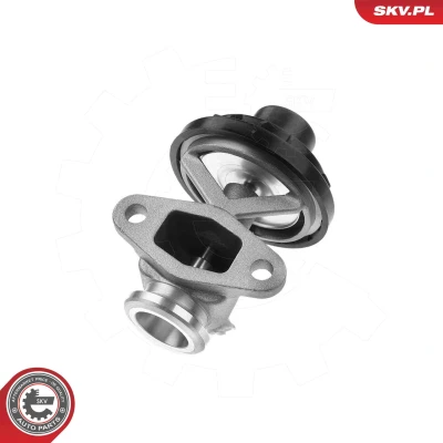 Imagen de Válvula EGR ESEN SKV 14SKV291