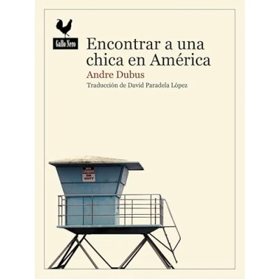 Imagen de Encontrar a una chica en América: 87 (Narrativas)