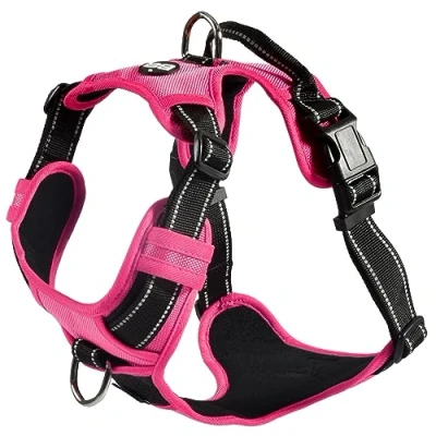Imagen de Bobby Rando Walk arnés para Perro, tamaño Mediano, pequeño, grande, de Nailon, Seguro, cómodo, Reflectante, Ajustable, Fucsia, S/32 48 x 1,6 cm