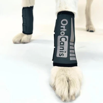 Imagen de Ortocanis Muñequera Protector de Patas para Perro Artrosis, Lesiones en Ligamentos, Tendones o Perros Agility Fabricado Neopreno ARD Talla L 17 19 cm