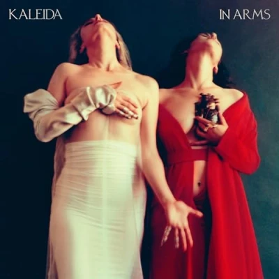 Imagen de In Arms