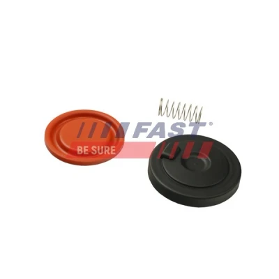 Imagen de Válvula, ventilaciuón cárter FAST FT60106
