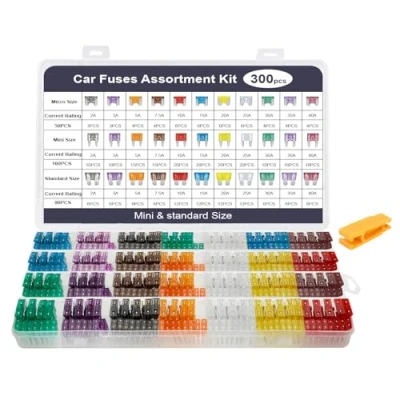 Imagen de AiQInu 12v Fusibles Coche Kit 300Pcs, 160 Mini Fusible + 90 Mediano 50 Micro +1 Clip para Fusibles, Automóvil 2A/3A/5A/7.5A/10A/15A/20A/25A/30A/35A/40A