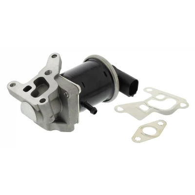 Imagen de MAPCO 83812 Válvula EGR eléctrico con junta SEAT: Ibiza 2, Arosa, VOLKSWAGEN: Polo III Hatchback, Lupo / 3L