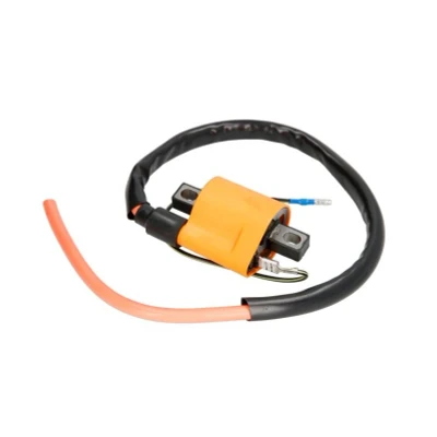 Imagen de Bobina de encendido INPARTS IP000043