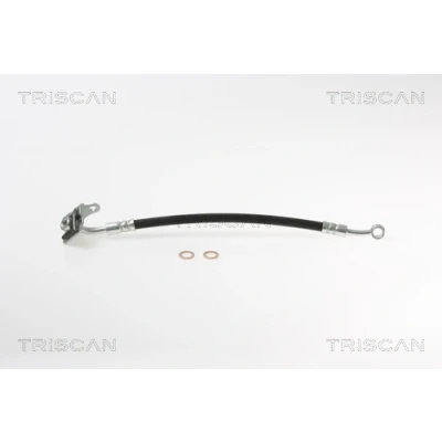 Imagen de TRISCAN 8150 18117 Latiguillos de Freno 259 F10x1