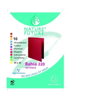 Imagen de Exacompta 217001E Lote de 10 Subcarpetas Rock&quot;S 220, Colores Surtidos