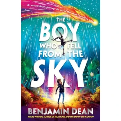 Imagen de The Boy Who Fell From Sky