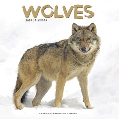 Imagen de Wolves Wölfe 2025 16 Monatskalender: Original Avonside Kalender [Mehrsprachig] [Kalender]